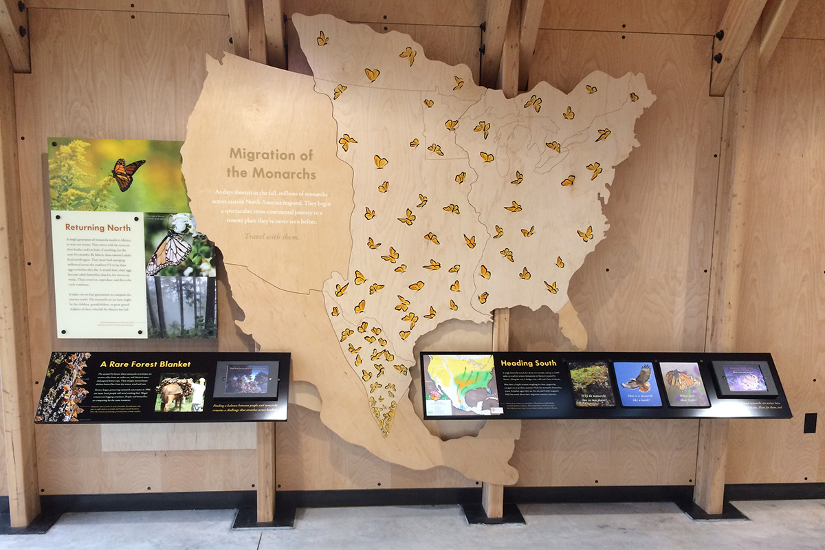 migration of the monarchs exhibit